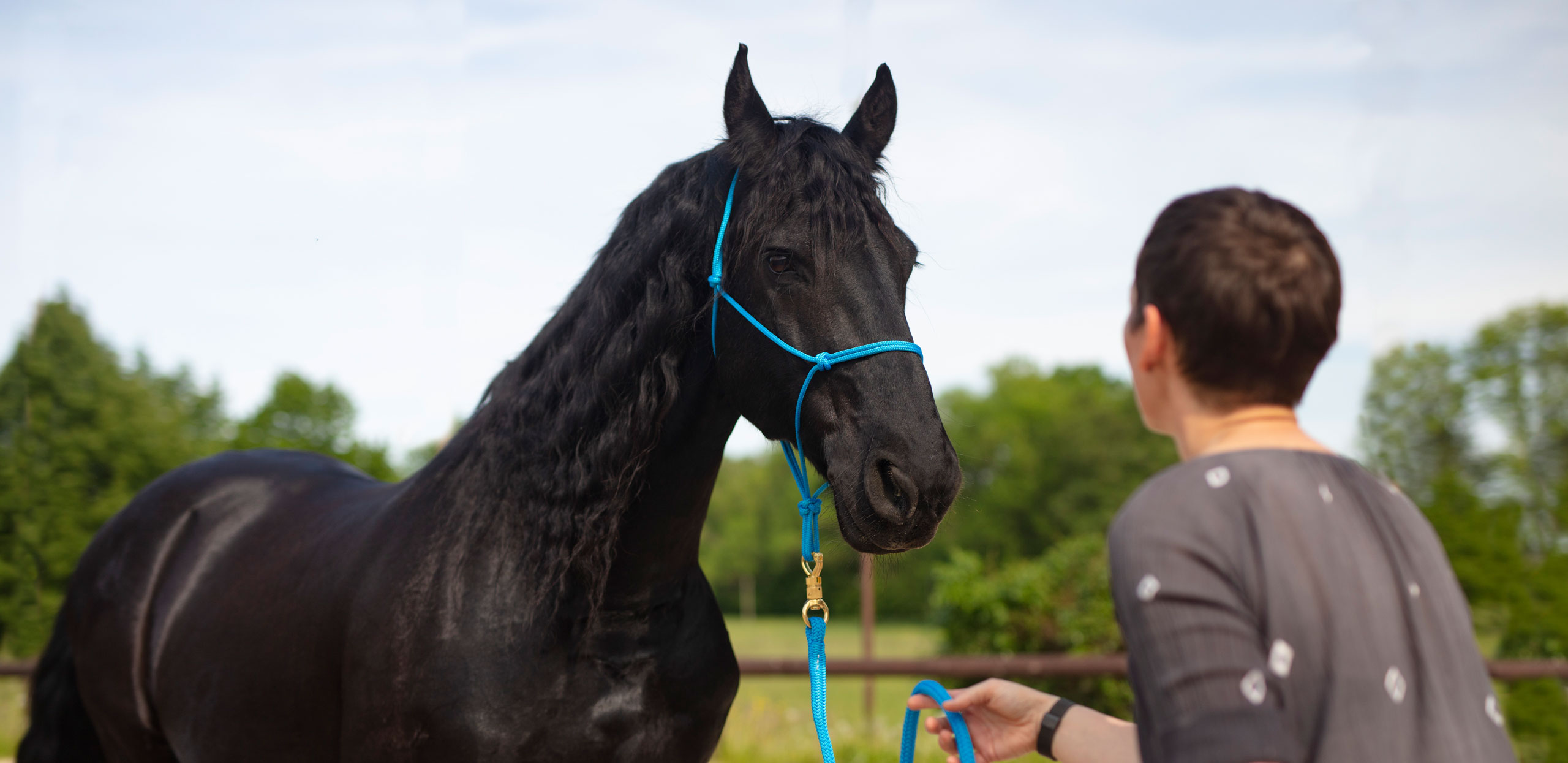 Grit Körner mit Pferd Rintje