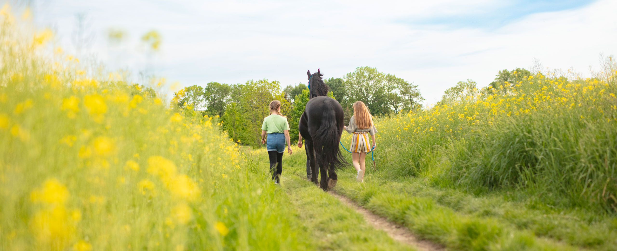 Kinder führen Rintje einen Feldweg entlang
